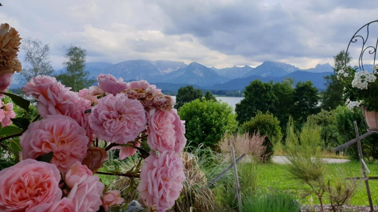 Landhaus Amberg Hopfen am See // Hopfensee // Füssen Exterior foto